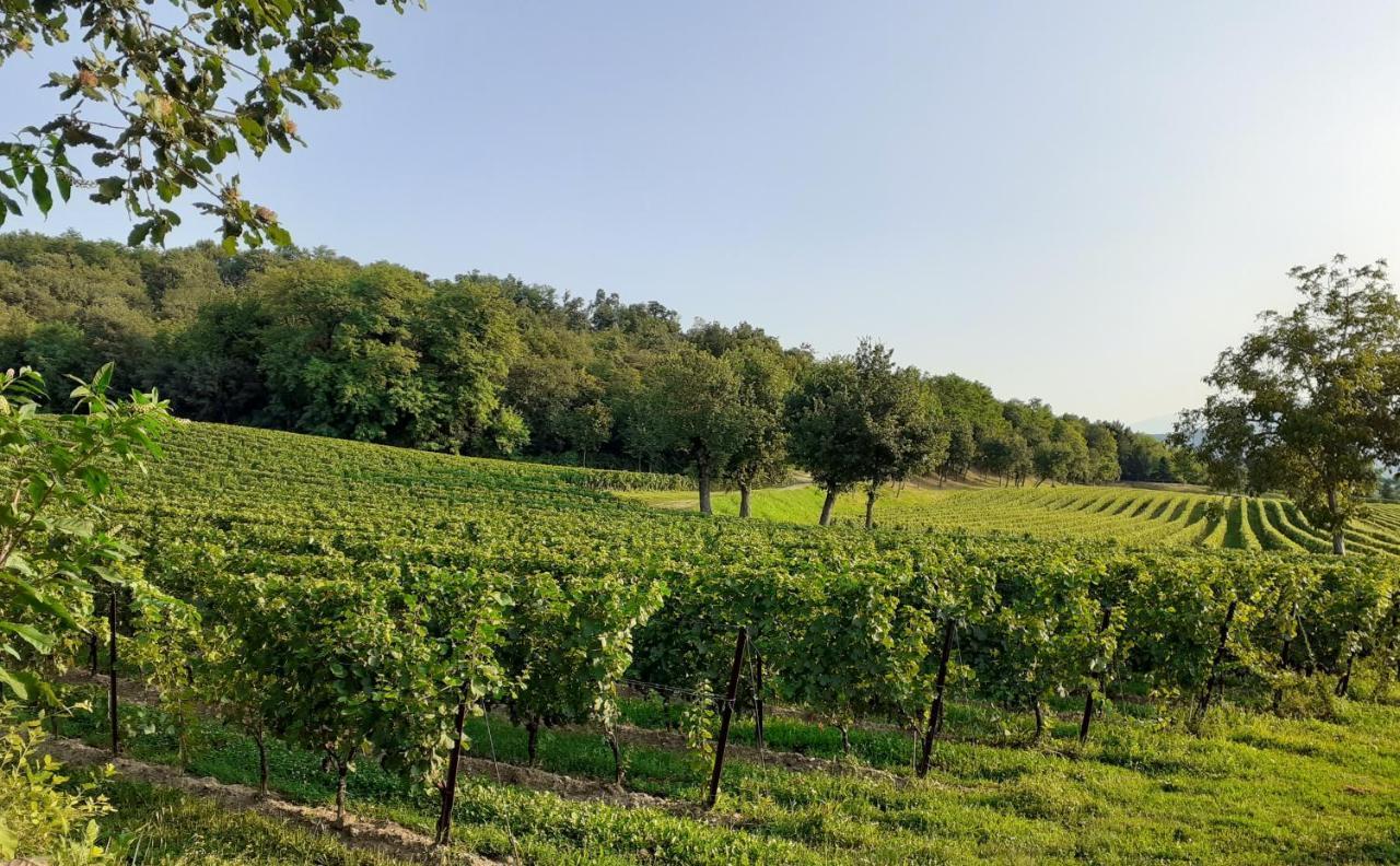 Vicolo Del Nido B&B Paderno Franciacorta Luaran gambar